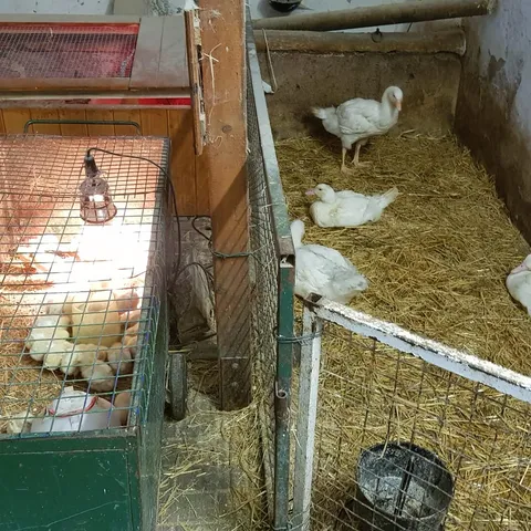 statek Licibořice Mateřská škola Pardubice