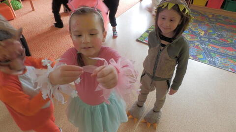 Masopustní karneval