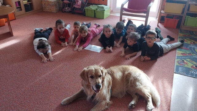 Canisterapie v MŠ s Akimem