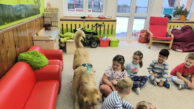 Akim u Zvídálků 2025