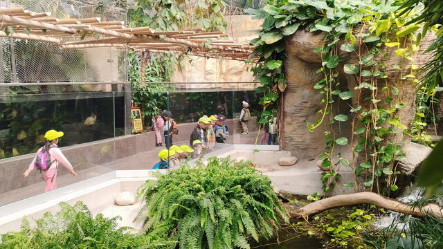 ZOO Dvůr Králové nad Labem 2025