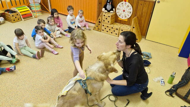 Akimek u Koťátek 2026