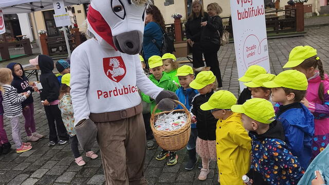 Zrcadlo umění 2026