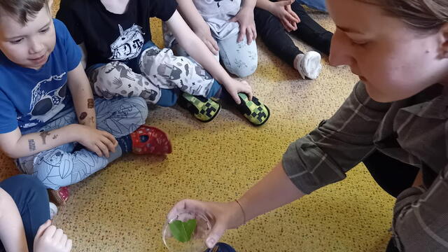 Motýlci v MŠ