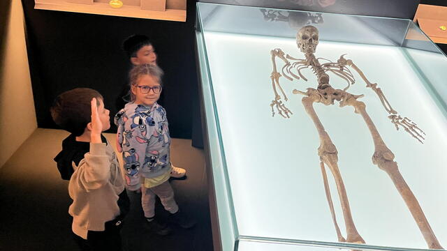 VČM - Archeologovi v patách 2025