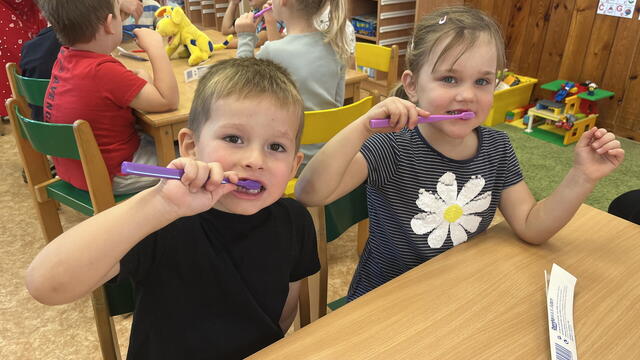 preventivní program Zdravý úsměv 2025