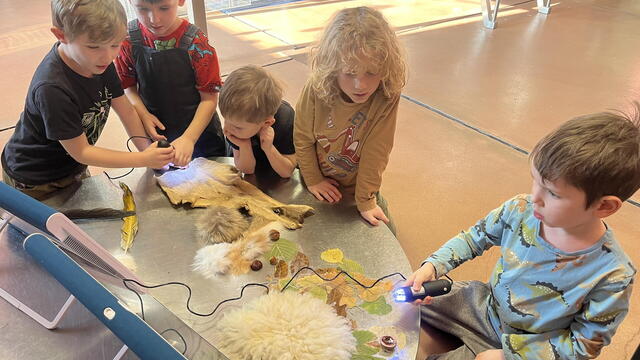 Sféra AM -  Pelíšky a kožíšky