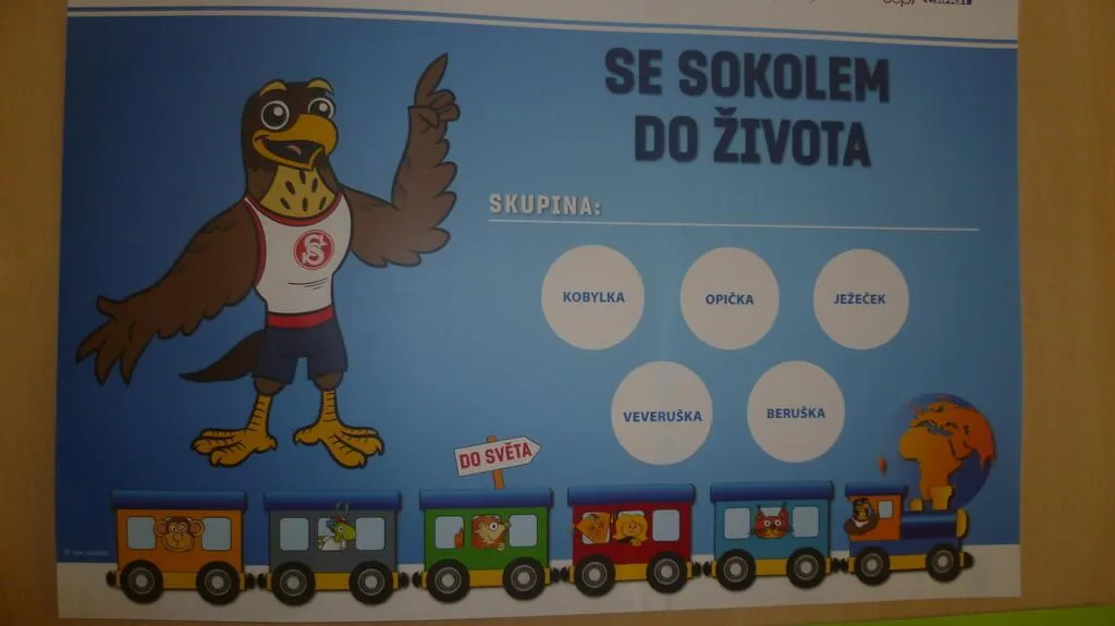 Projekt České obce sokolské '' Se Sokolem do života''